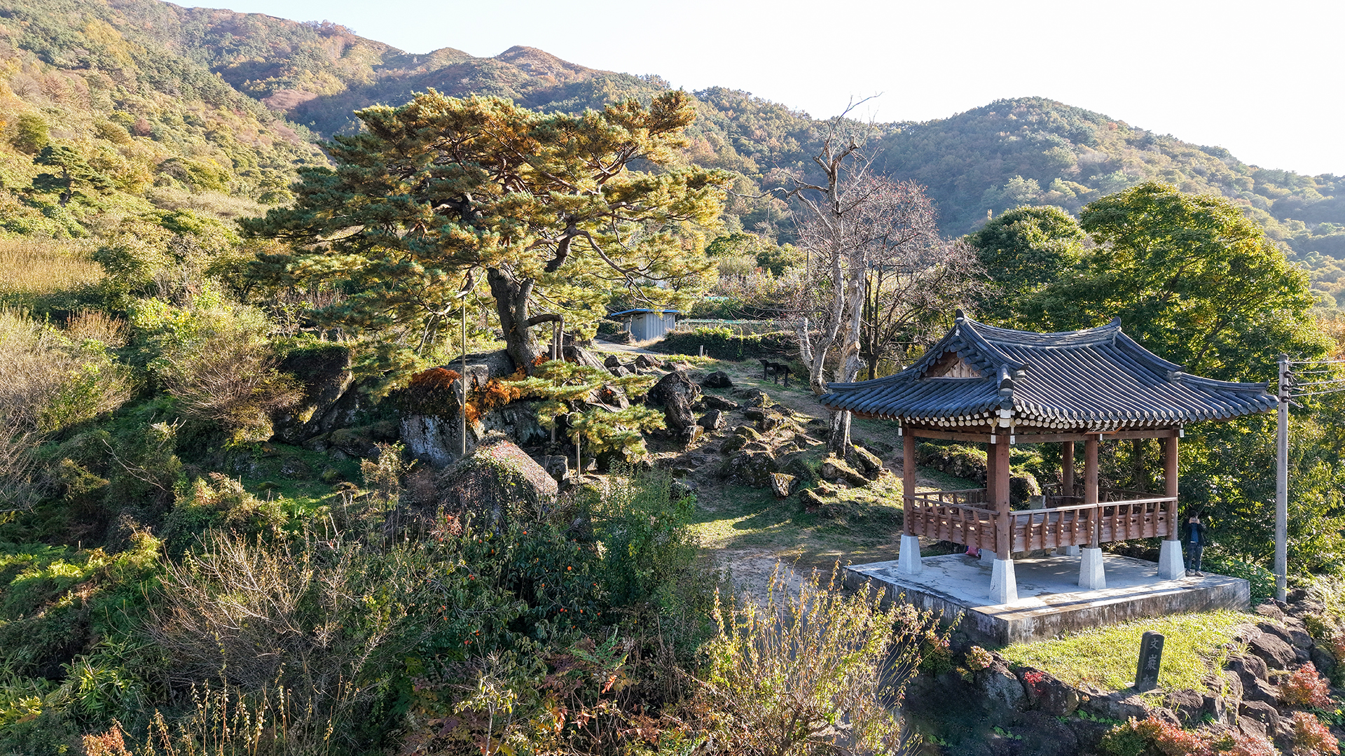 하동 축지리 문암송